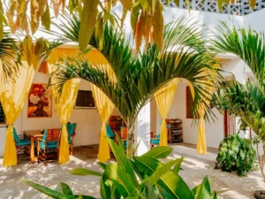 Foto 13.11.25, 09 06 26