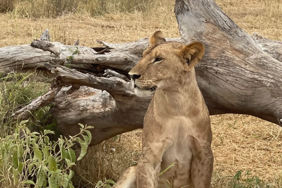 Foto 10.03.25, 13 27 11