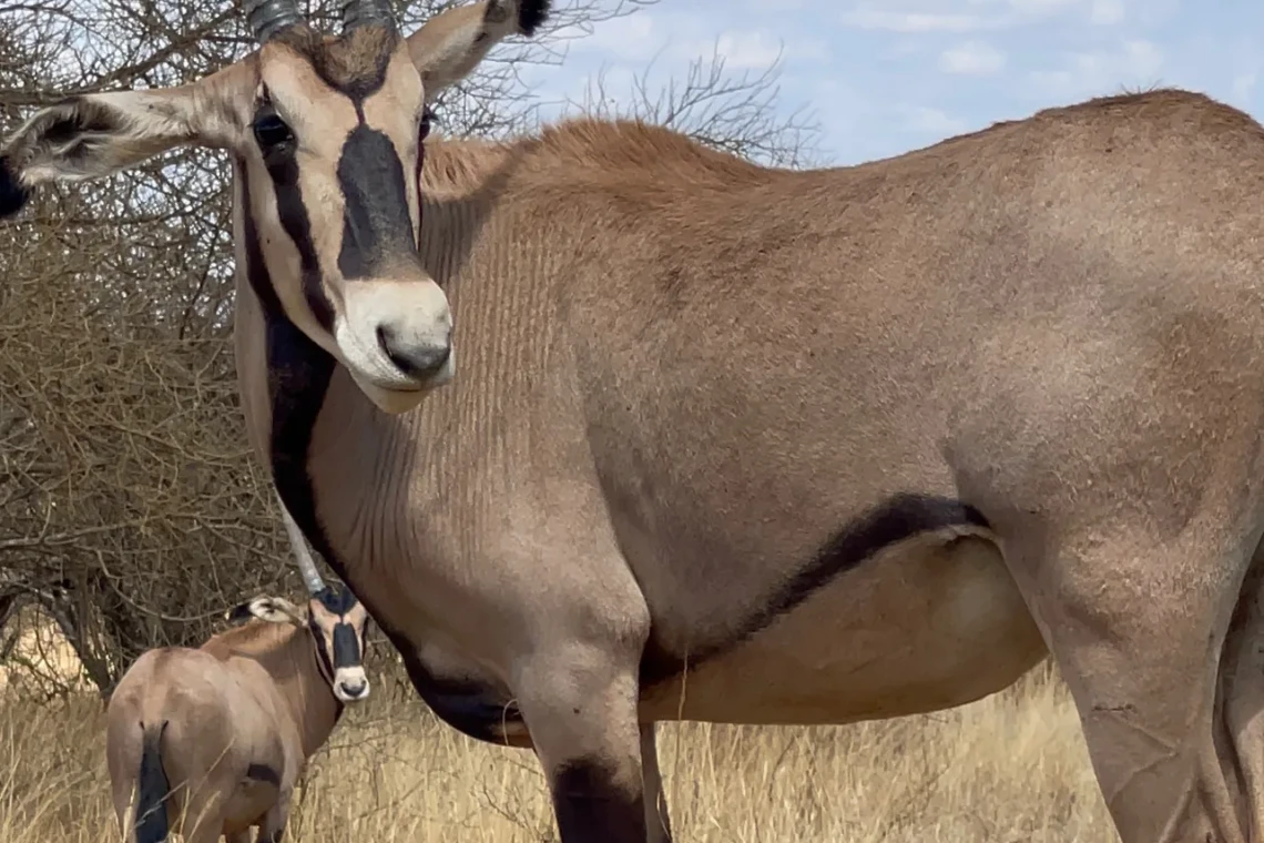 Foto 14.10.25, 10 35 42